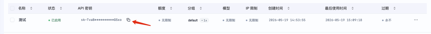 复制 API 密钥